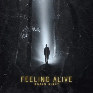 Pochette de Feeling alive de Robin bisht