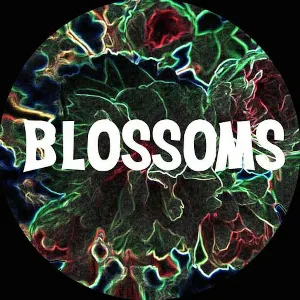 Pochette de You Pulled a Gun on Me de Blossoms