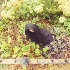 Pochette de THE EXCAVATION de Kevin Drumm