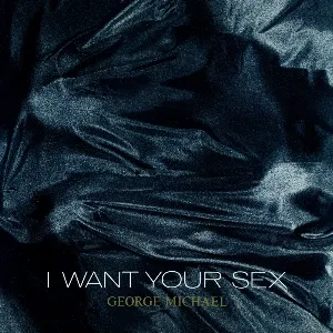 Pochette I Want Your Sex