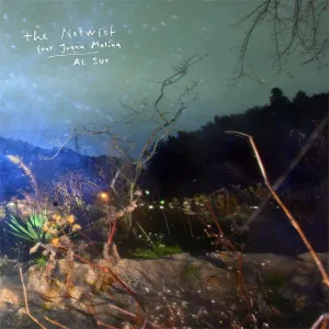 Pochette de Al Sur de The Notwist