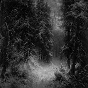 Pochette de Wanderings Within Forests of Despondency II de Hiemal
