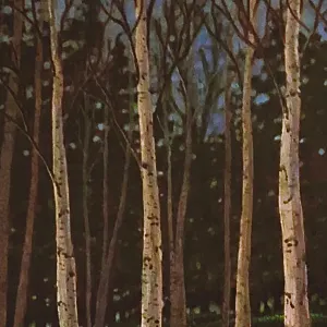 Pochette de Flora de invention_