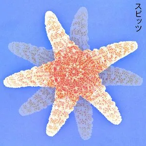 Pochette de スピッツ de Spitz