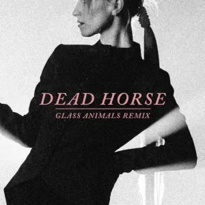 Pochette de Dead Horse (Glass Animals remix) de Hayley Williams