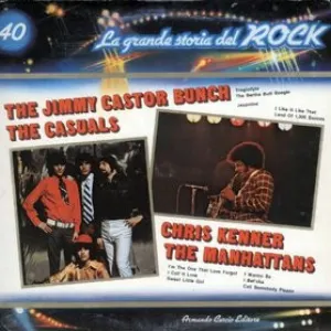 Pochette The Jimmy Castor Bunch / The Casuals / Chris Kenner / The Manhattans (La grande storia del rock)