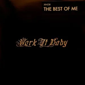 Pochette de The Best of Me de Xinobi