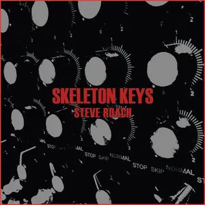 Pochette Skeleton Keys