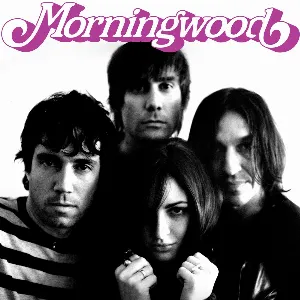 Pochette de Jetsetter de Morningwood