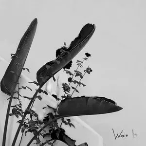 Pochette de Worth It de Moses Sumney
