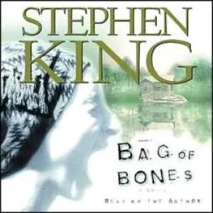 Pochette de Bag of Bones de Stephen King