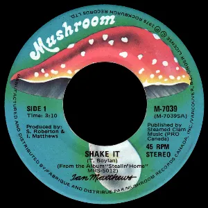 Pochette de Shake It de Iain Matthews