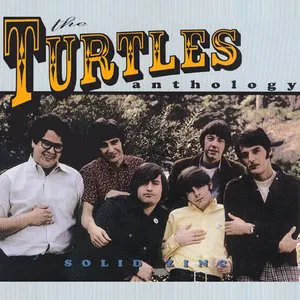 Pochette Solid Zinc: The Turtles Anthology