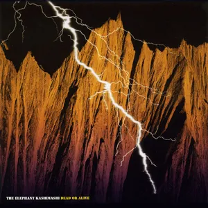 Pochette de DEAD OR ALIVE de Elephant Kashimashi