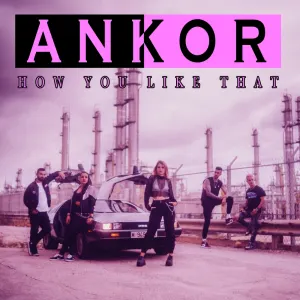 Pochette de How You Like That de Ankor