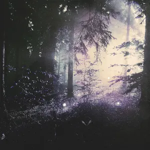 Pochette de You de Nils Hoffmann