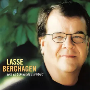 Pochette de Som en blänkande silvertråd de Lars Berghagen