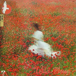 Pochette de Wild Flower de Alan Feanch