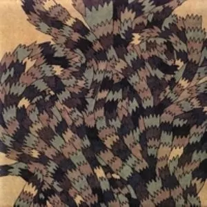 Pochette de My Accident de Sunburned Hand of the Man