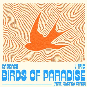 Pochette Birds of Paradise