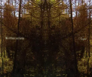 Pochette de Nagual de Aidan Baker