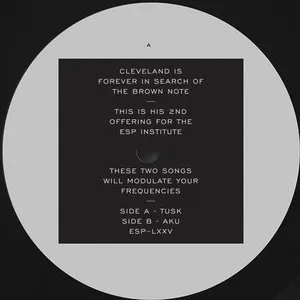 Pochette de TUSK b/w AKU de Cleveland