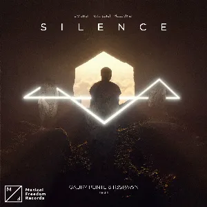 Pochette de Silence (Gabry Ponte & R3SPAWN remix) de Delerium