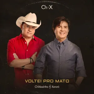 Pochette de Voltei pro Mato de Chitãozinho & Xororó