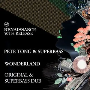 Pochette de Wonderland de Pete Tong