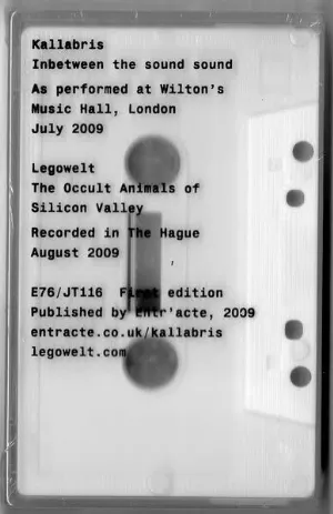 Pochette de Inbetween the Sound Sound / The Occult Animals of Silicon Valley de Legowelt