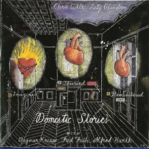 Pochette de Domestic Stories de Fred Frith