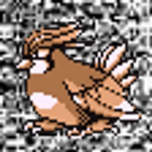 Pochette de #017 ~ Pidgeotto de h POKéDEX
