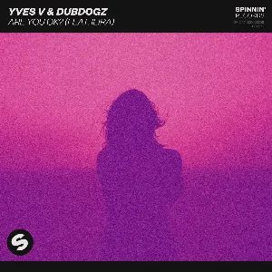 Pochette de Are You OK? de Dubdogz - Yves V