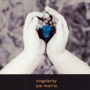 Pochette de Singularity de Joe Morris