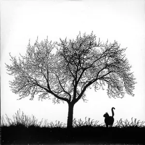 Pochette de Library Tapes / Nils Frahm de Library Tapes - Nils Frahm