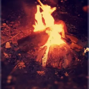 Pochette de Dienstag de Tream