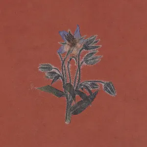 Pochette de De la friche de Flavien Berger