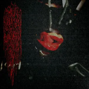 Pochette de Intemperance de Chier