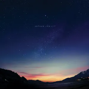 Pochette de Singularity de Jon Hopkins