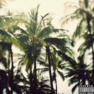 Pochette de Petaluma[dnt.ask] de Knxwledge