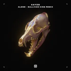 Pochette de Alone (Sullivan King remix) de Kayzo
