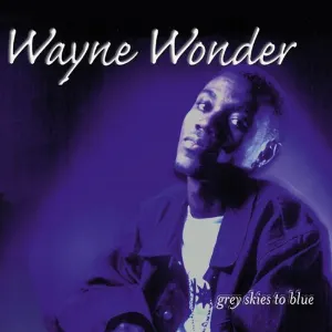 Pochette de Grey Skies to Blue de Wayne Wonder