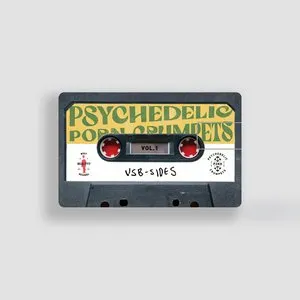Pochette de USB-SIDES VOL.1 de Psychedelic Porn Crumpets