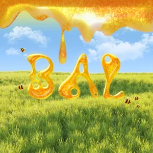 Pochette de Bal de ALPHA