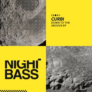 Pochette de Down To The Groove de Curbi