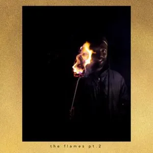 Pochette de The Flames Pt. 2 de Kele Okereke