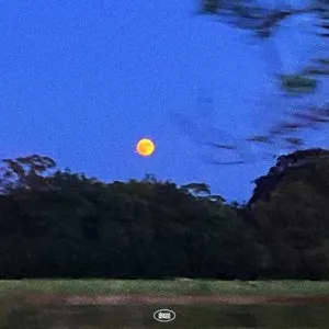 Pochette de Troubled Ones de Samm Henshaw