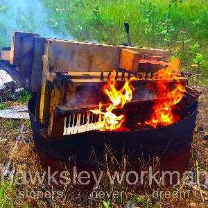 Pochette de Stoners Never Dream de Hawksley Workman