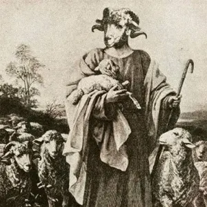 Pochette de To Rend Each Other Like Wild Beasts, Till Earth Shall Reek With Midnight Massacre de Gnaw Their Tongues