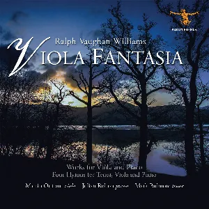 Pochette Viola Fantasia